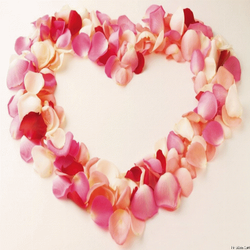 Love shaped rose petals