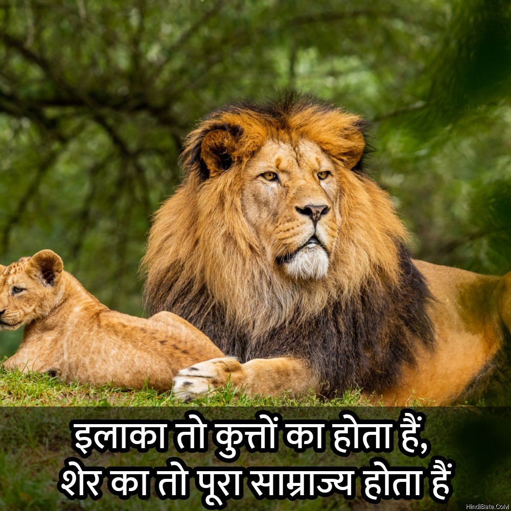 the word lion in hindi