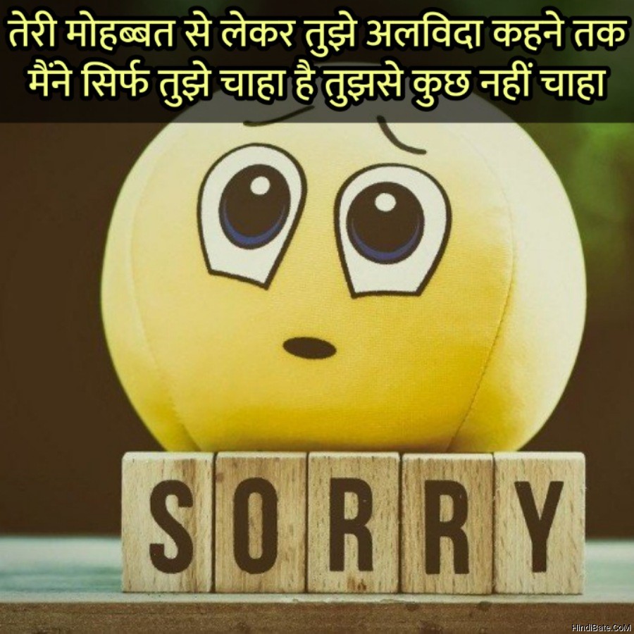Sorry Quotes in Hindi - HindiBate.CoM