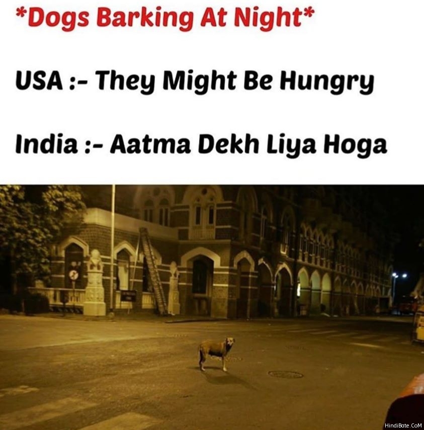 Dogs barking at night atma dekh liya hoga meme