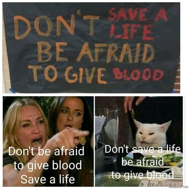 Dont be afraid to give blood save a life cat meme