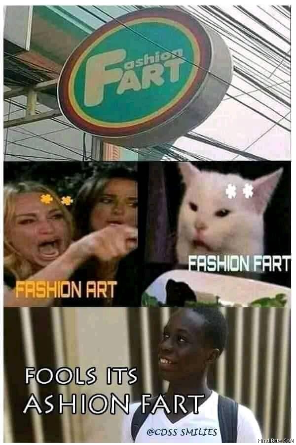 Fashion art fashion fart ashion fart cat meme