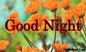 Good Night Colourlful Flowers 