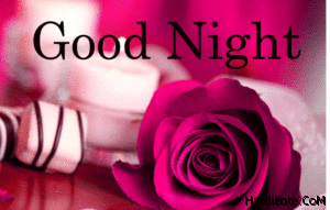 Good Night Rose Image 