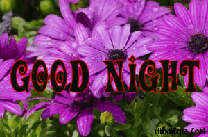 Good Night With Flowers Image