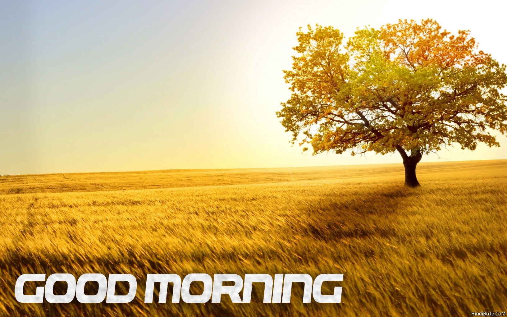 Good morning nature sunrise image - HindiBate.CoM