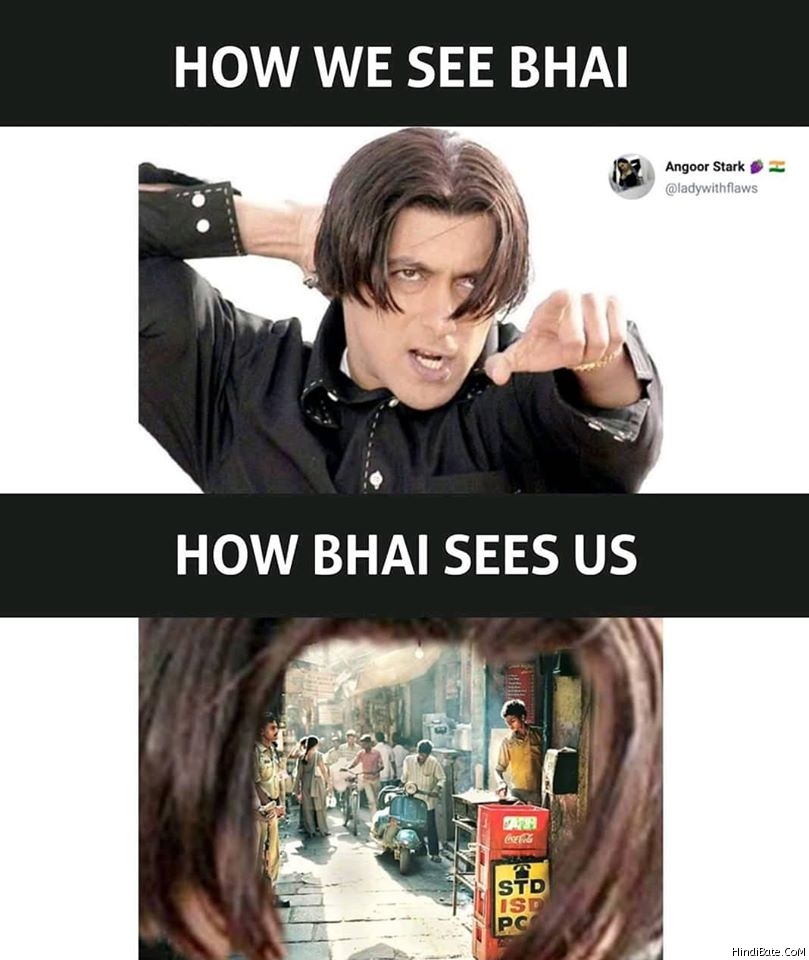 How we see bhai vs how bhai sees us meme