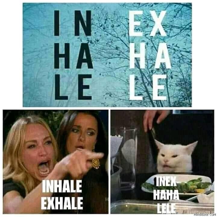 Inhale exhale vs inex haha lele cat meme