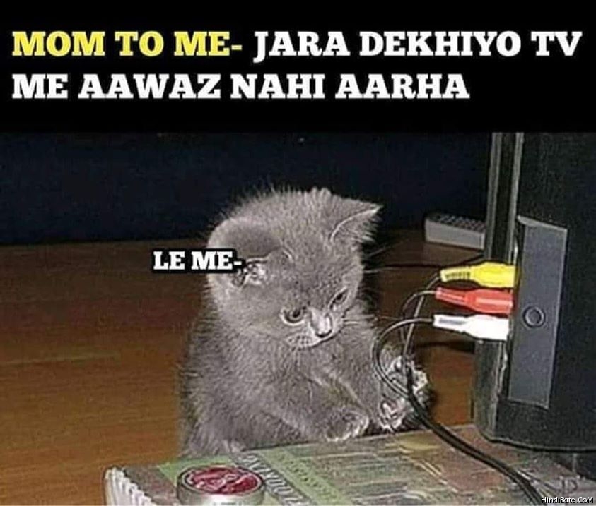 Jara dekhiyo to tv me avaj nahi aa raha cat meme