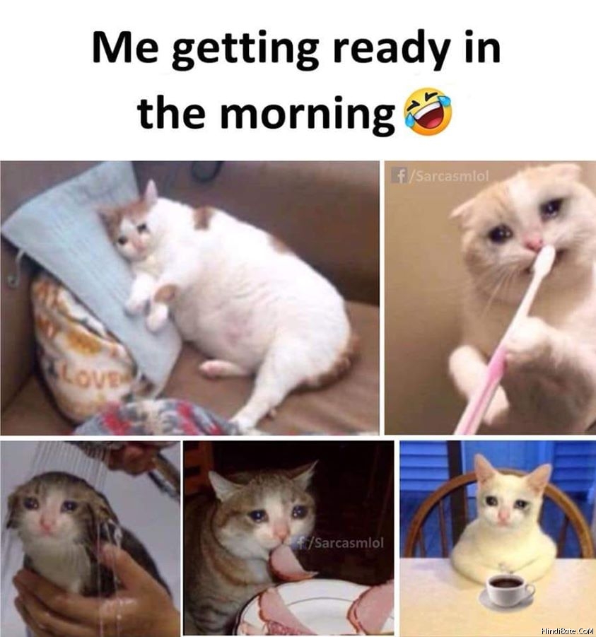 Me getting ready in the morning cat meme