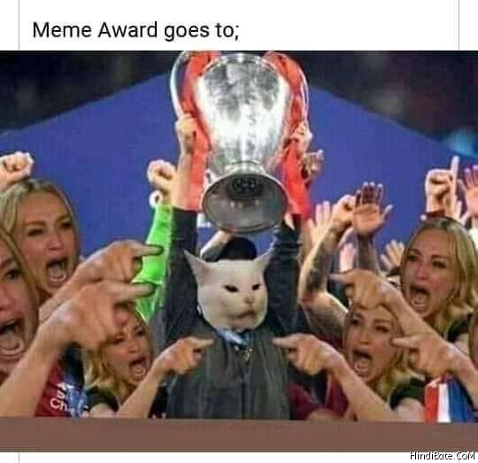 Meme award goes to cat