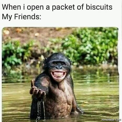 My friends when i open a packet of biscuits meme