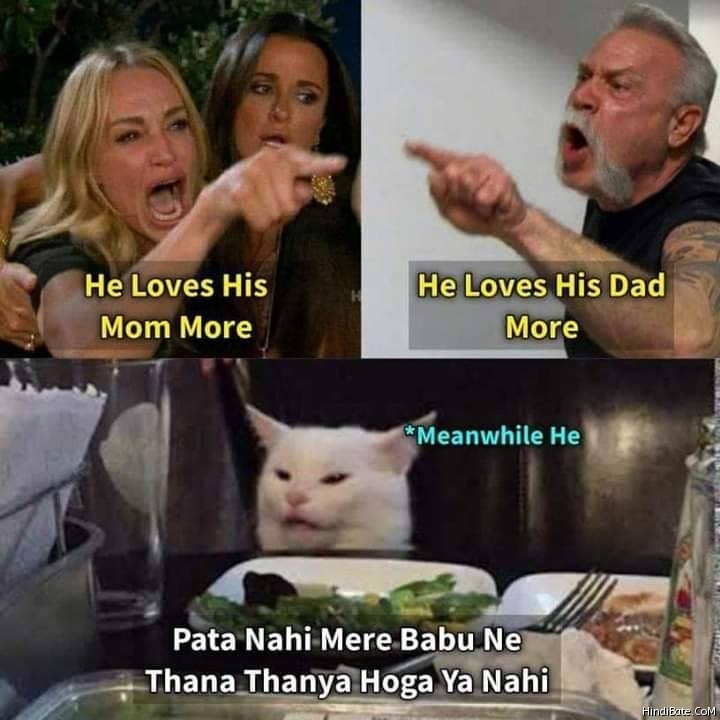 Pata nahi mere babu ne khana khaya ya nahi cat meme