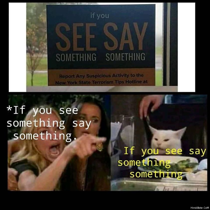 See say something something cat meme - HindiBate.CoM