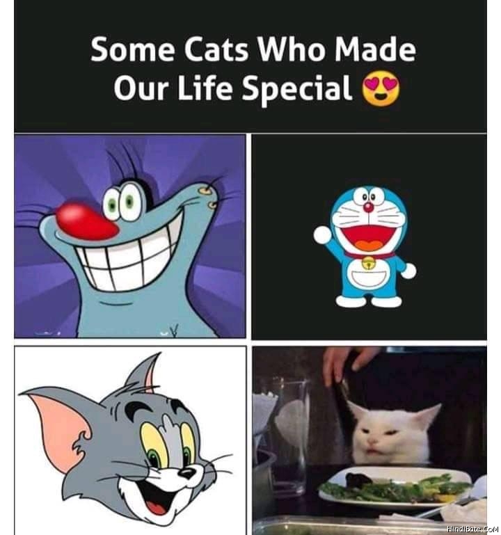 Some cats who made our life special meme