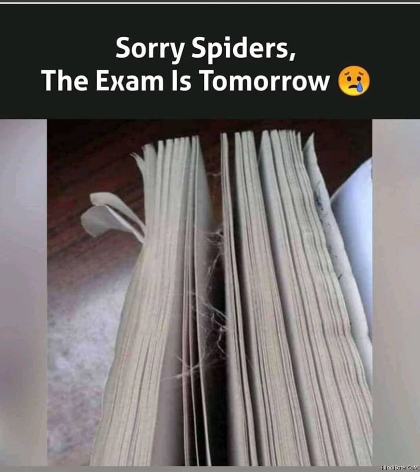 Sorry spiders the exam is tomorrow meme 