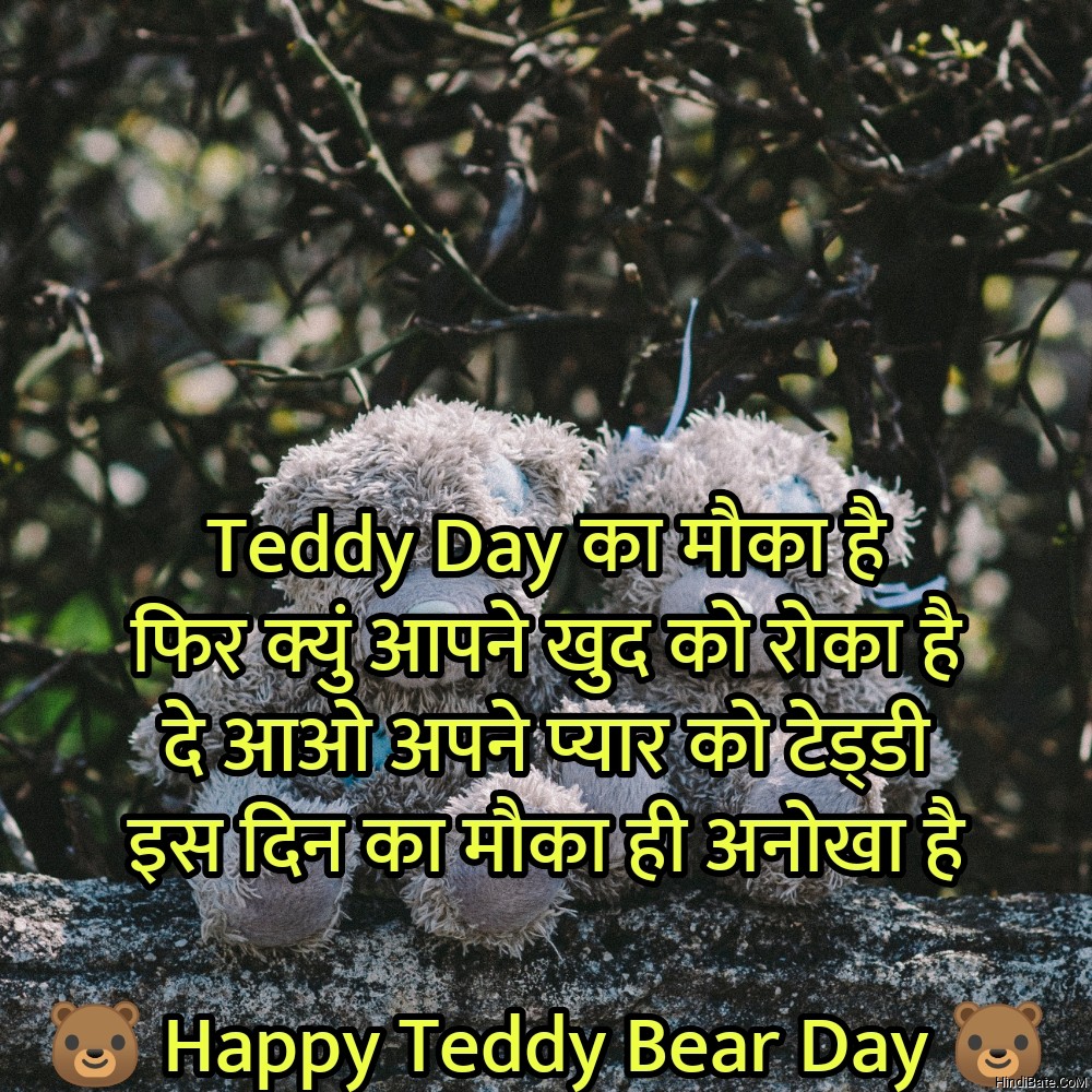 Teddy Day का मौका है फिर क्युं आपने खुद को रोका है