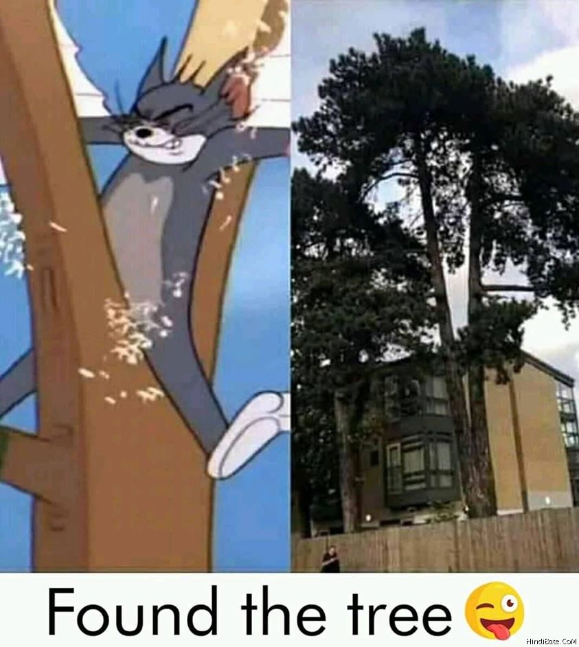 Tom and jerry found the tree meme