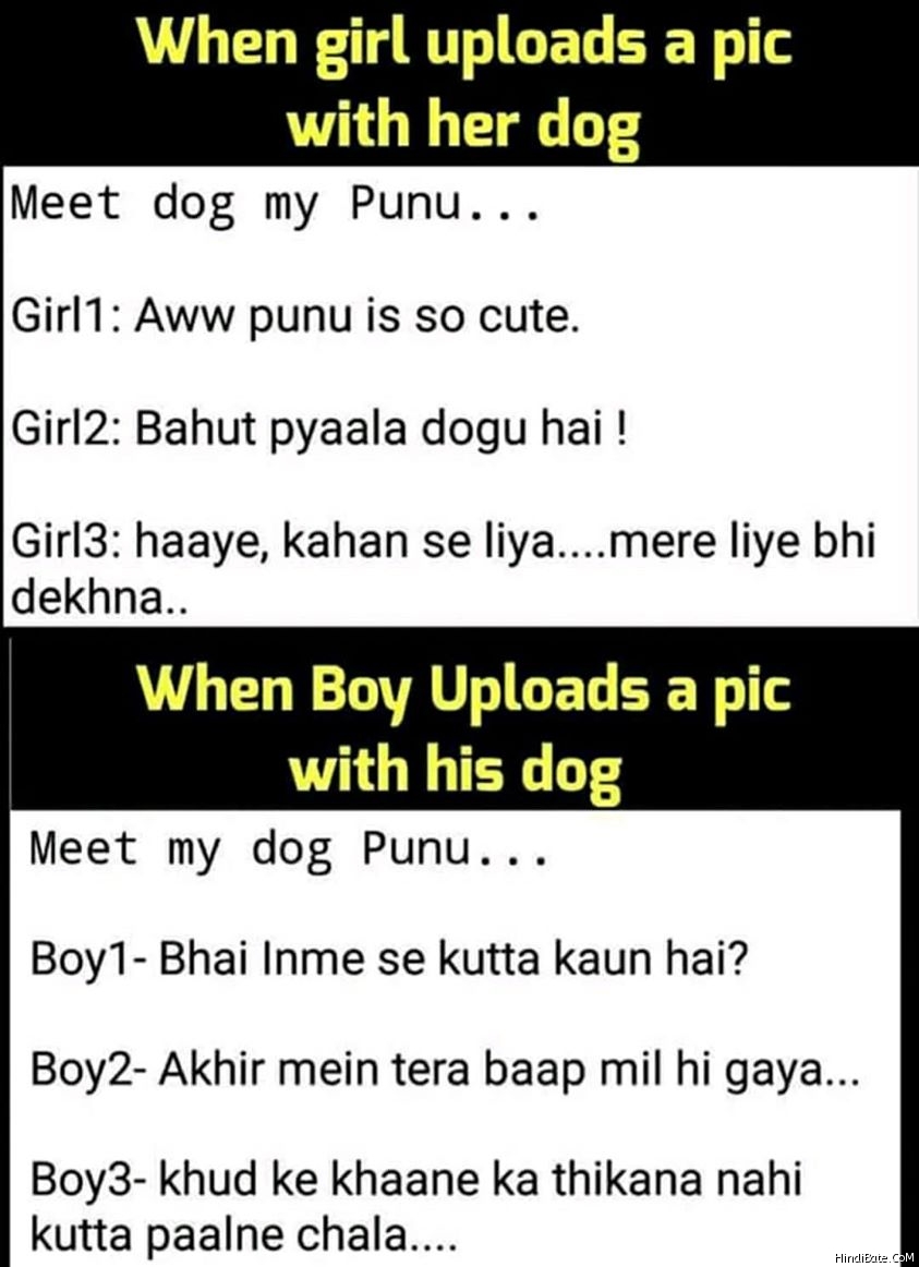When girl uploads pic with dog meme