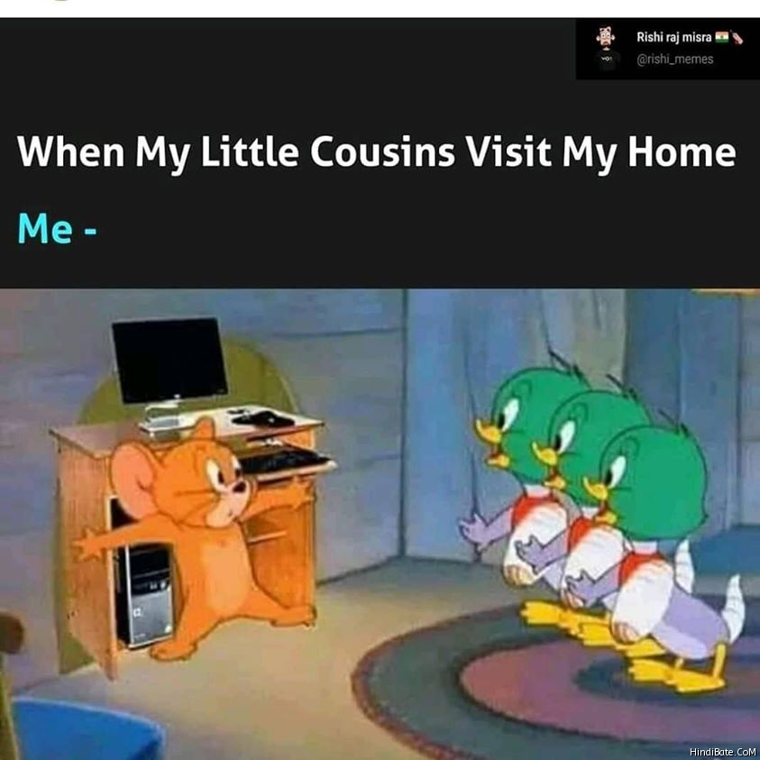 When my little cousins visit my home meme