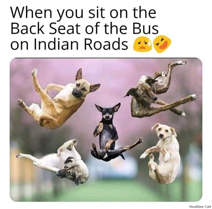 When you sit on back seat of bus on indian roads
