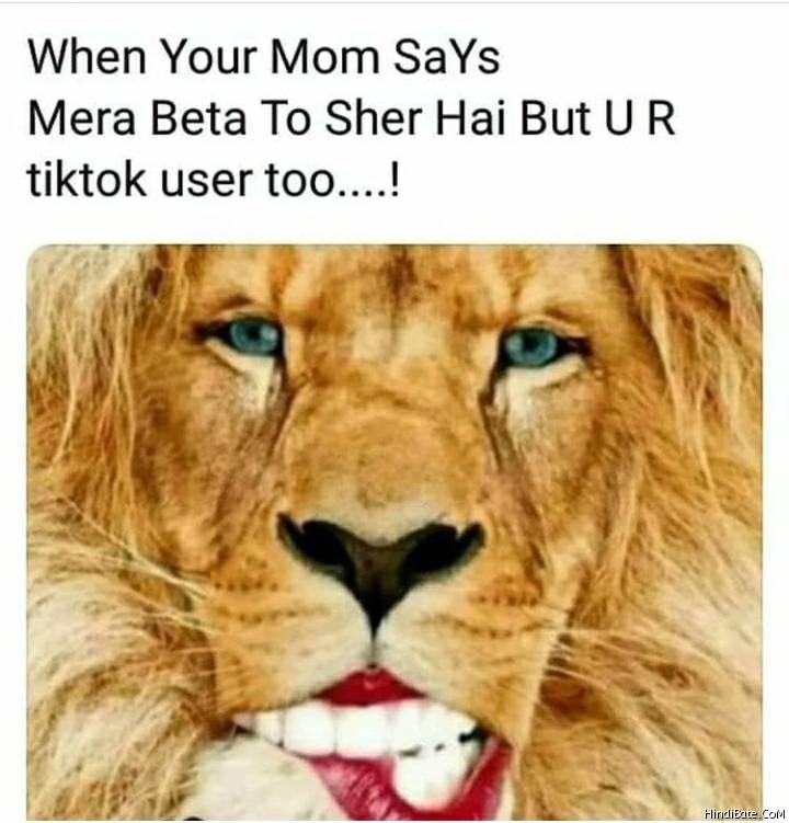 Tiktok Mems in Hindi