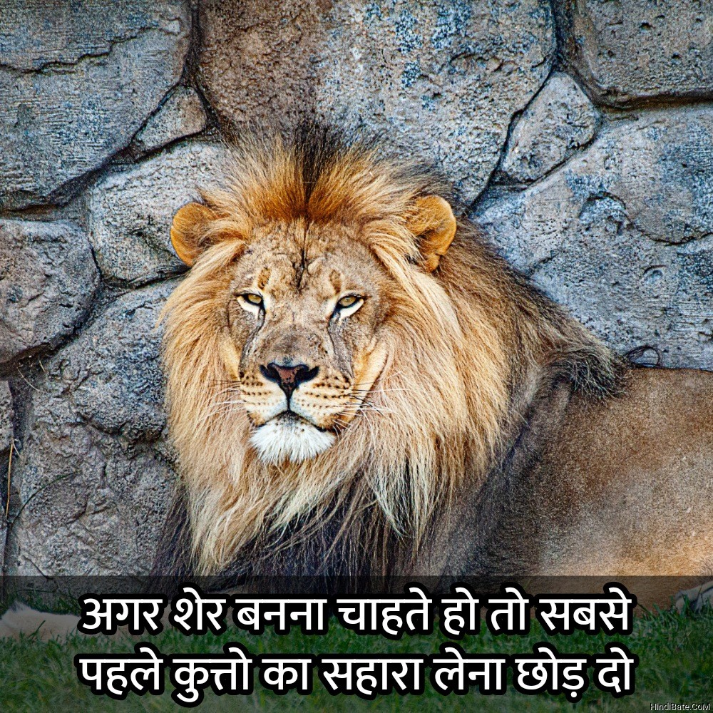 अगर शेर बनना चाहते हो तो सबसे पहले
