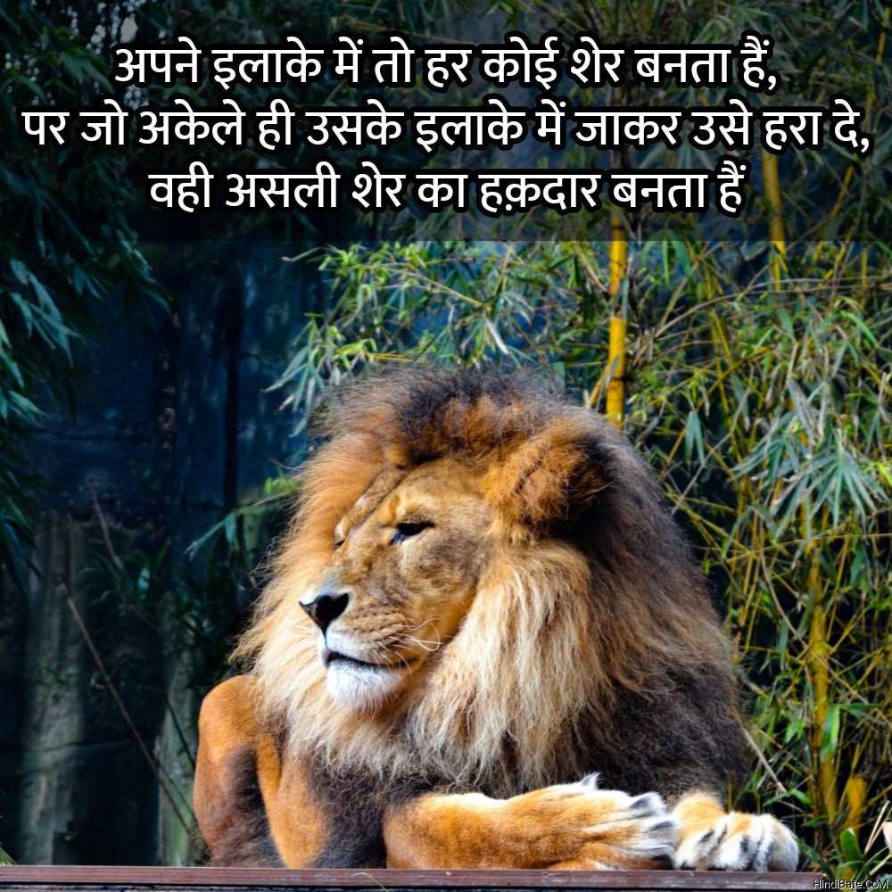 अपने इलाके में तो हर कोई शेर बनता हैं