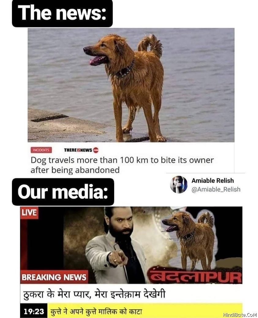 Dog Memes in Hindi