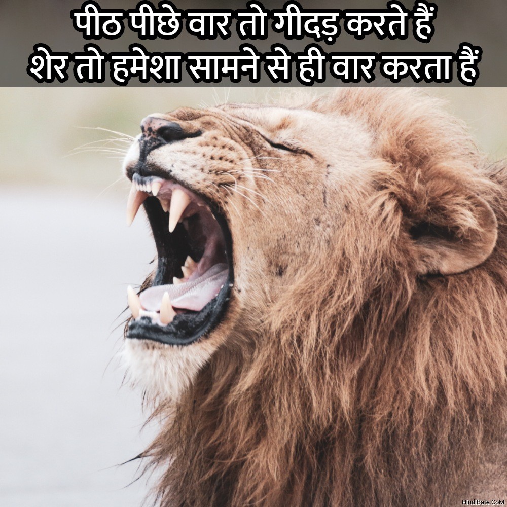 Lion Quotes in Hindi