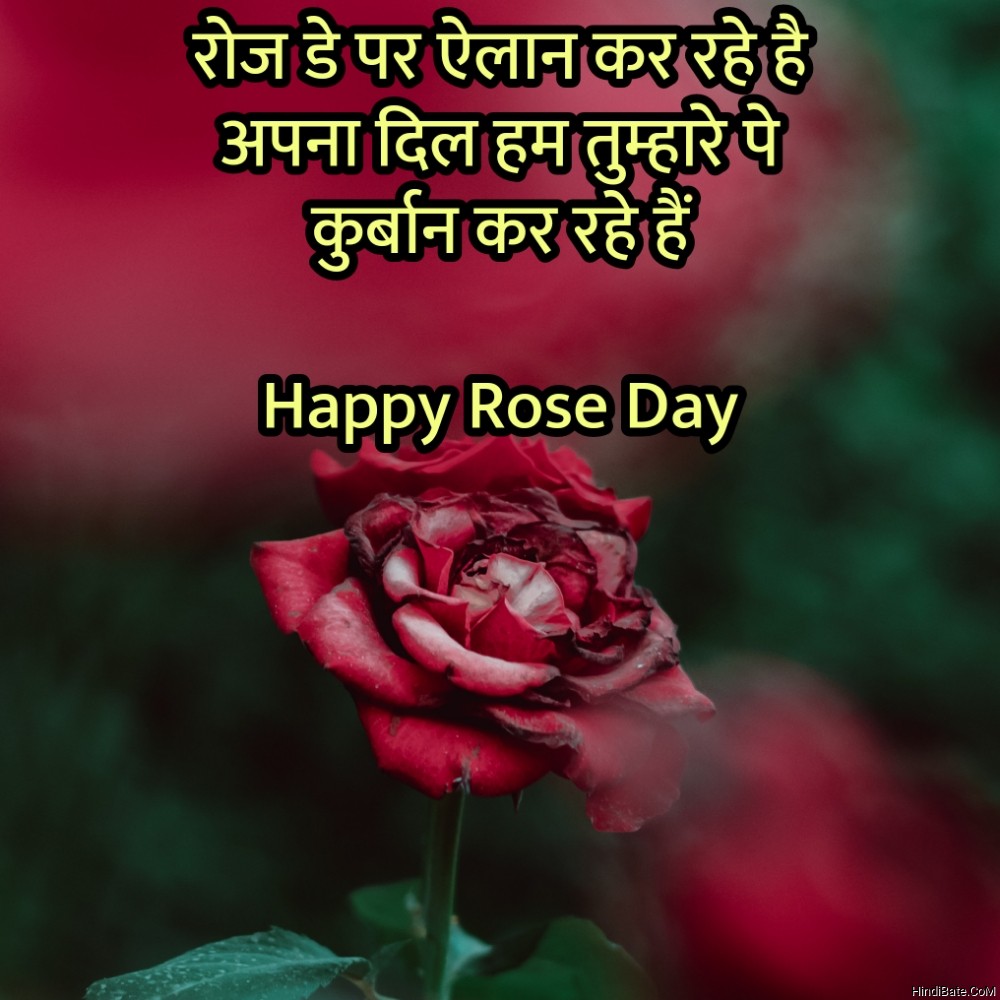 Happy Rose Day Quotes With Image in Hindi